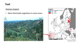 Fuel
• More flammable vegetation in some areas
Human impact:
 