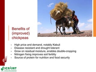 The impact of improved chickpea adoption on poverty reduction in ethiopia