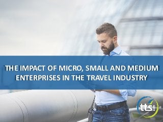 THE IMPACT OF MICRO, SMALL AND MEDIUM
ENTERPRISES IN THE TRAVEL INDUSTRY
 