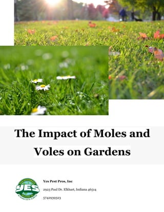 Yes Pest Pros, Inc
2923 Paul Dr. Elkhart, Indiana 46514
5742939323
The Impact of Moles and
Voles on Gardens
 