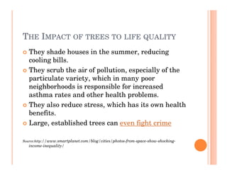 THE IMPACT OF TREES TO LIFE QUALITY
   They shade houses in the summer, reducing
   cooling bills.
   They scrub the air of pollution, especially of the
   particulate variety, which in many poor
   neighborhoods is responsible for increased
   asthma rates and other health problems.
   They also reduce stress, which has its own health
   benefits.
   Large, established trees can even fight crime

Source:http://www.smartplanet.com/blog/cities/photos-from-space-show-shocking-
   income-inequality/
 