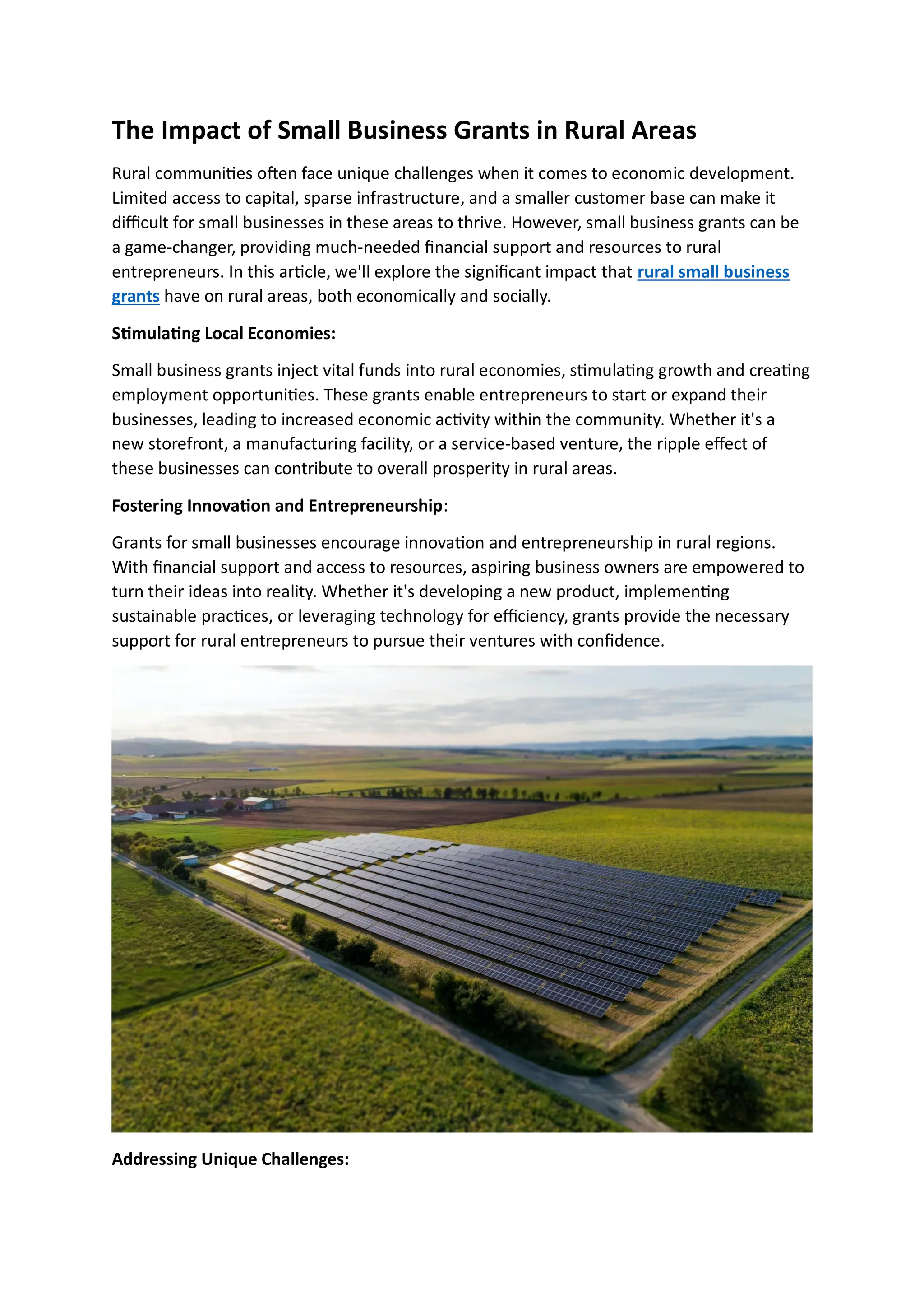 The Impact of Small Business Grants in Rural Areas.pdf