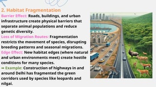 THE IMPACT OF URBANISATION ON LOCAL ECOSYSTEMS AND WILDLIFE(WITH CASE ...