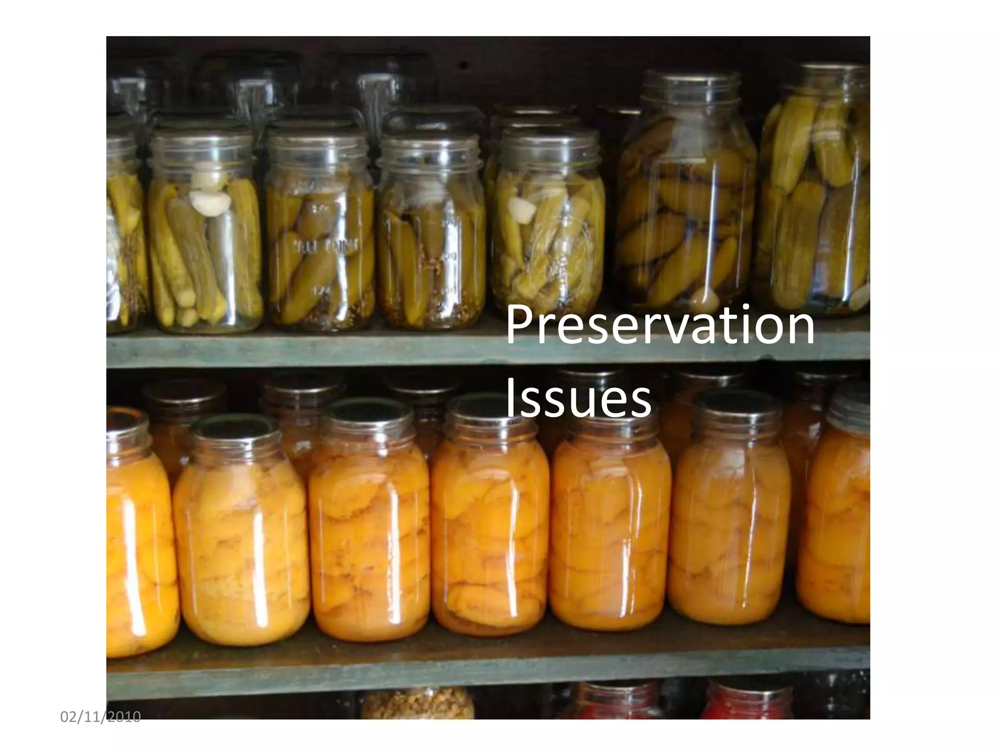 Preservation
Issues
02/11/2010
 