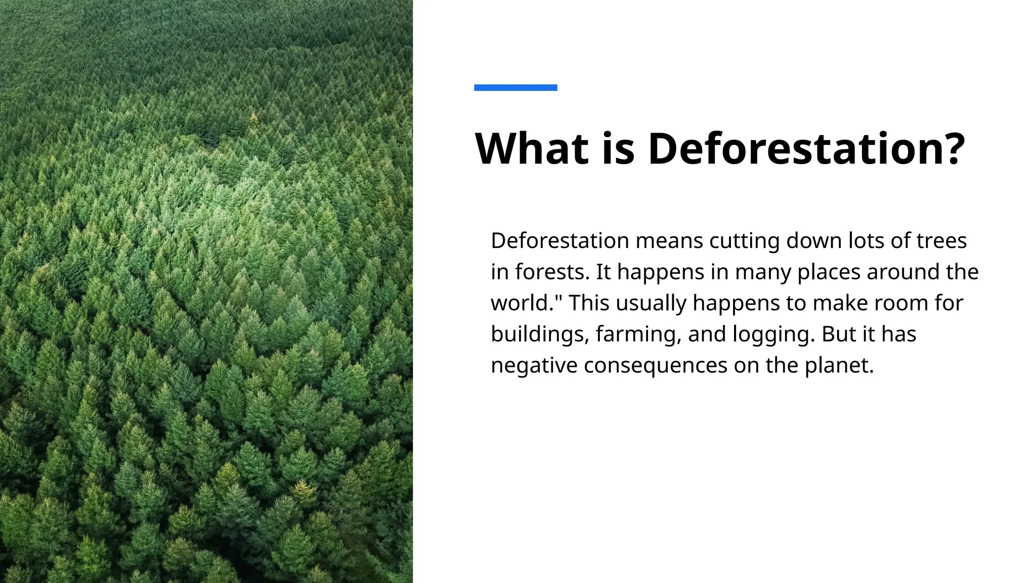 The Impacts of Deforestation.pptx By Bryson | PPTX
