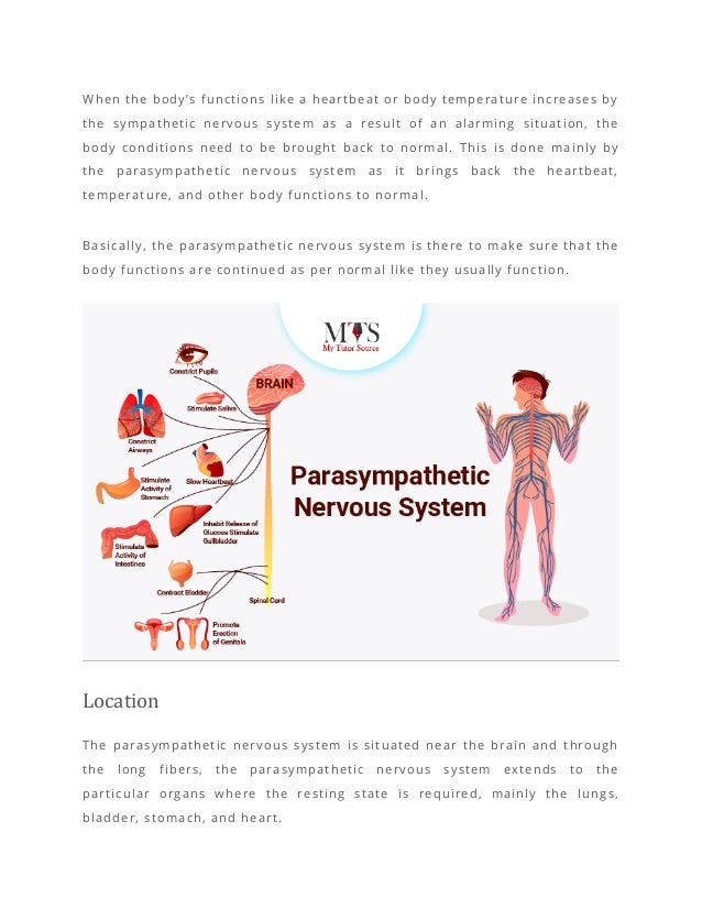 The impacts of sympathetic and parasympathetic nervous system.pdf
