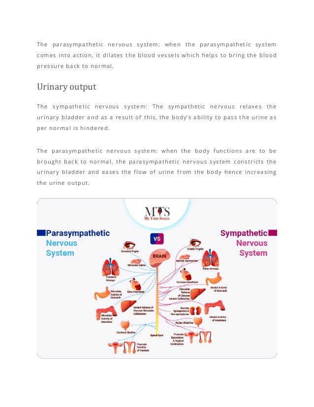 The impacts of sympathetic and parasympathetic nervous system.pdf