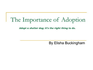 informative speech on how to adopt a dog