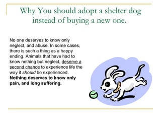 animal shelter informative speech
