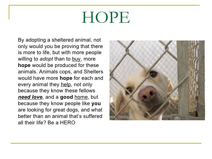 adoption
