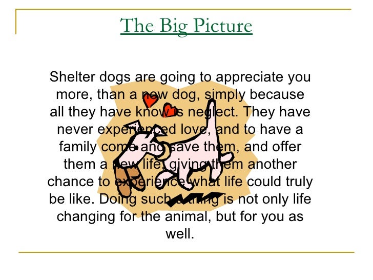 dog adoption essay