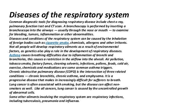 importance of respiratory system essay