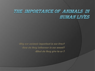 The  importance of  ANIMALS  in human lives  -Why are animals important in our lives? -How do they influence in our mood? -What do they give to us ? 