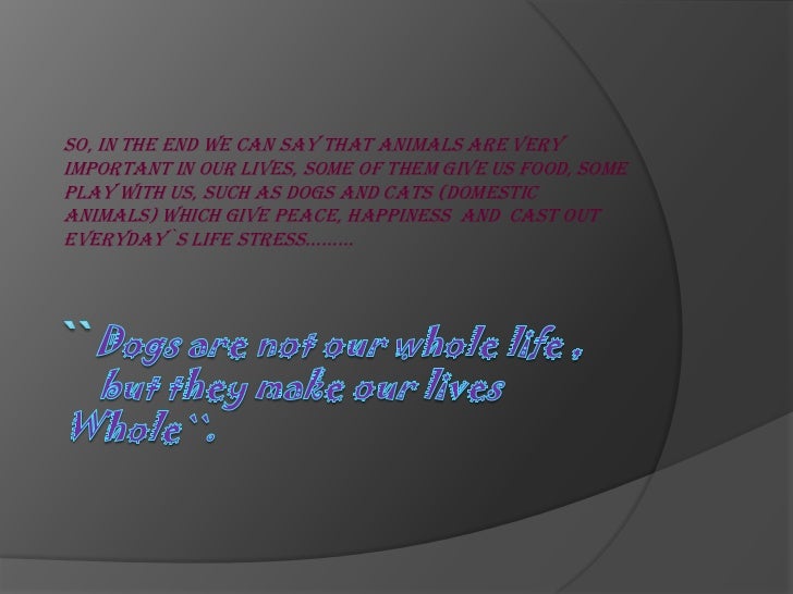 The importance of animals in human lives