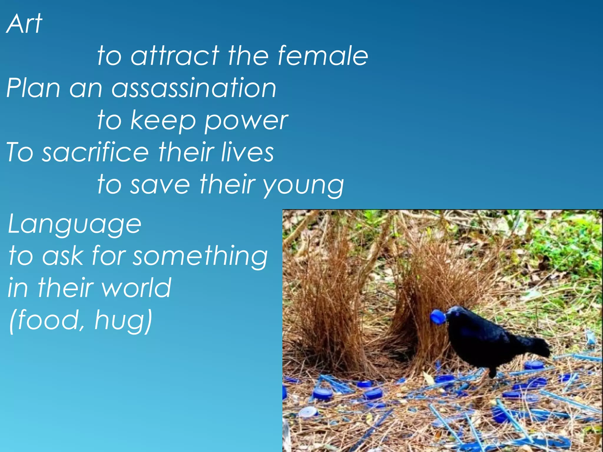 Art
to attract the female
Plan an assassination
to keep power
To sacrifice their lives
to save their young
Language
to ask for something
in their world
(food, hug)
 
