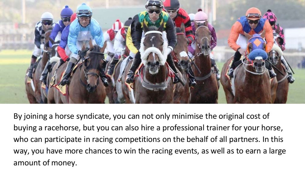 The importance of buying racehorse shares online