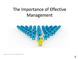 The Importance of Effective Management Image: jscreationzs / FreeDigitalPhotos.net 