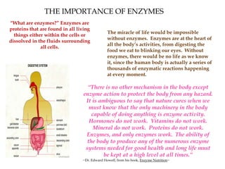 THE IMPORTANCE OF ENZYMES
“What are enzymes?” Enzymes are
proteins that are found in all living
things either within the cells or
dissolved in the fluids surrounding
all cells.

The miracle of life would be impossible
without enzymes. Enzymes are at the heart of
all the body’s activities, from digesting the
food we eat to blinking our eyes. Without
enzymes, there would be no life as we know
it, since the human body is actually a series of
thousands of enzymatic reactions happening
at every moment.

“There is no other mechanism in the body except
enzyme action to protect the body from any hazard.
It is ambiguous to say that nature cures when we
must know that the only machinery in the body
capable of doing anything is enzyme activity.
Hormones do not work. Vitamins do not work.
Mineral do not work. Proteins do not work.
Enzymes, and only enzymes work. The ability of
the body to produce any of the numerous enzyme
systems needed for good health and long life must
be kept at a high level at all times.”
~Dr. Edward Howell, from his book, Enzyme Nutrition~

 