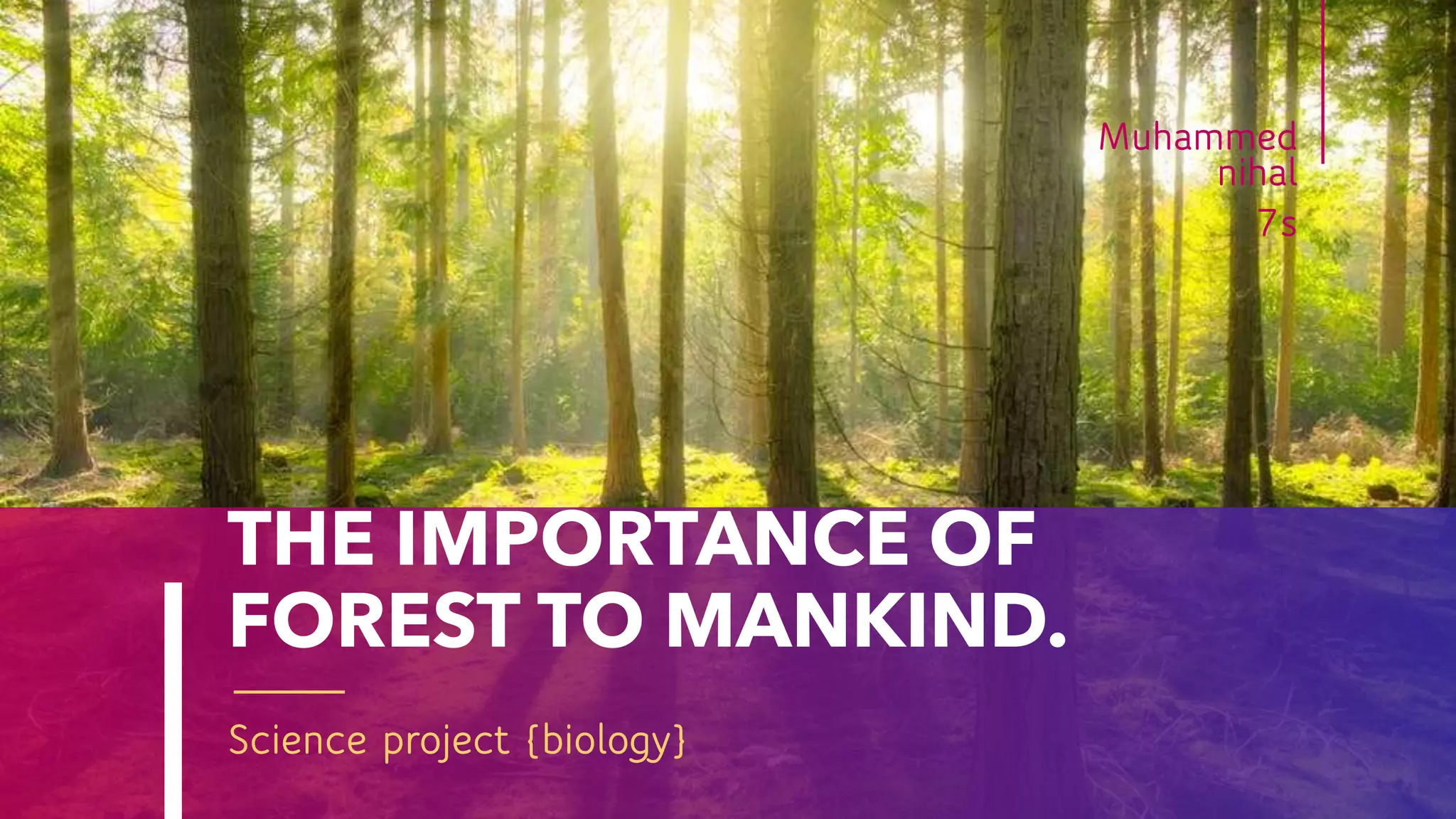 The Importance Of Forest To Mankind PPTX