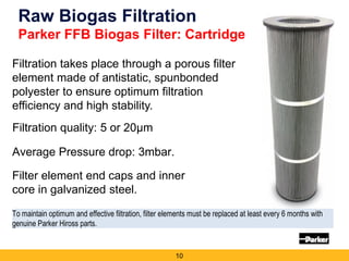 The Importance of Gas Treatment in Biogas Applications | PDF