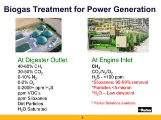 The Importance of Gas Treatment in Biogas Applications | PDF