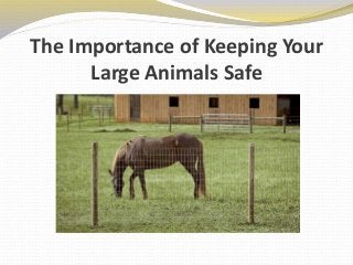 The Importance of Keeping Your
Large Animals Safe
 