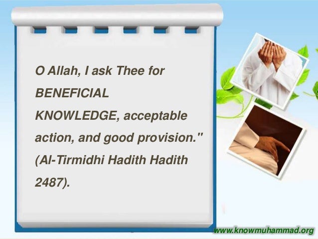 the importance of education in islam No religion and no ideology places as much emphasis on education and knowledge as much as islam does and makes the seeking of knowledge and implementation of what has. the importance of education in islam No religion and no ideology places as much emphasis on education and knowledge as much as islam does and makes the seeking of knowledge and implementation of what has.