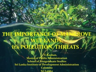 THE IMPORTANCE OF MANGROVE
WET LANDS.
It’s POLLUTION, THREATS .
E.Kushan,
Master of Public Administration
School of Postgraduate Studies
Sri Lanka Institute of Development Administration
Colombo
Sri Lanka
 