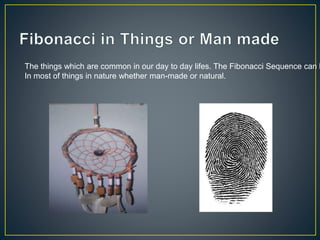 The things which are common in our day to day lifes. The Fibonacci Sequence can b
In most of things in nature whether man-made or natural.
 