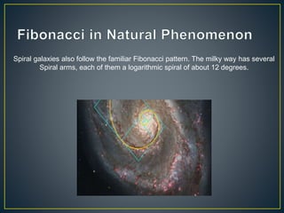 Spiral galaxies also follow the familiar Fibonacci pattern. The milky way has several
Spiral arms, each of them a logarithmic spiral of about 12 degrees.
 