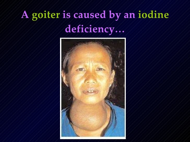 The Importance Of Nutrients!