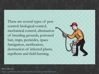 The Importance of Pest Control | PPT