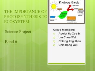 THE IMPORTANCE OF
PHOTOSYNTHESIS TO THE
ECOSYSTEM
Group Members:
1) Acetor Ho Xue Er
2) Lim Chee Wei
3) Chiang Jing Shen
4) Chin Hong Wei
Science Project
Band 6
 