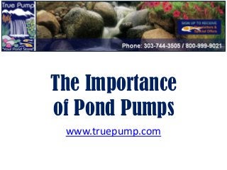 The Importance
of Pond Pumps
 www.truepump.com
 