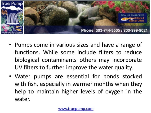 The Importance Of Pond Pumps