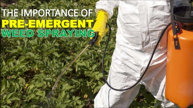The Importance Of Pre Emergent Spraying