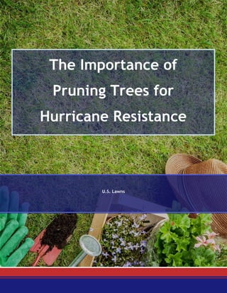 The Importance of
Pruning Trees for
Hurricane Resistance
U.S. Lawns
 