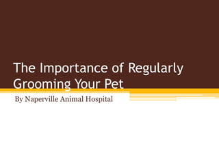 The Importance of Regularly
Grooming Your Pet
By Naperville Animal Hospital
 