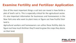 The Importance of Soil Testing | PDF