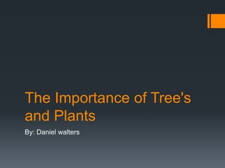 The Importance of Tree's
and Plants
By: Daniel walters
 
