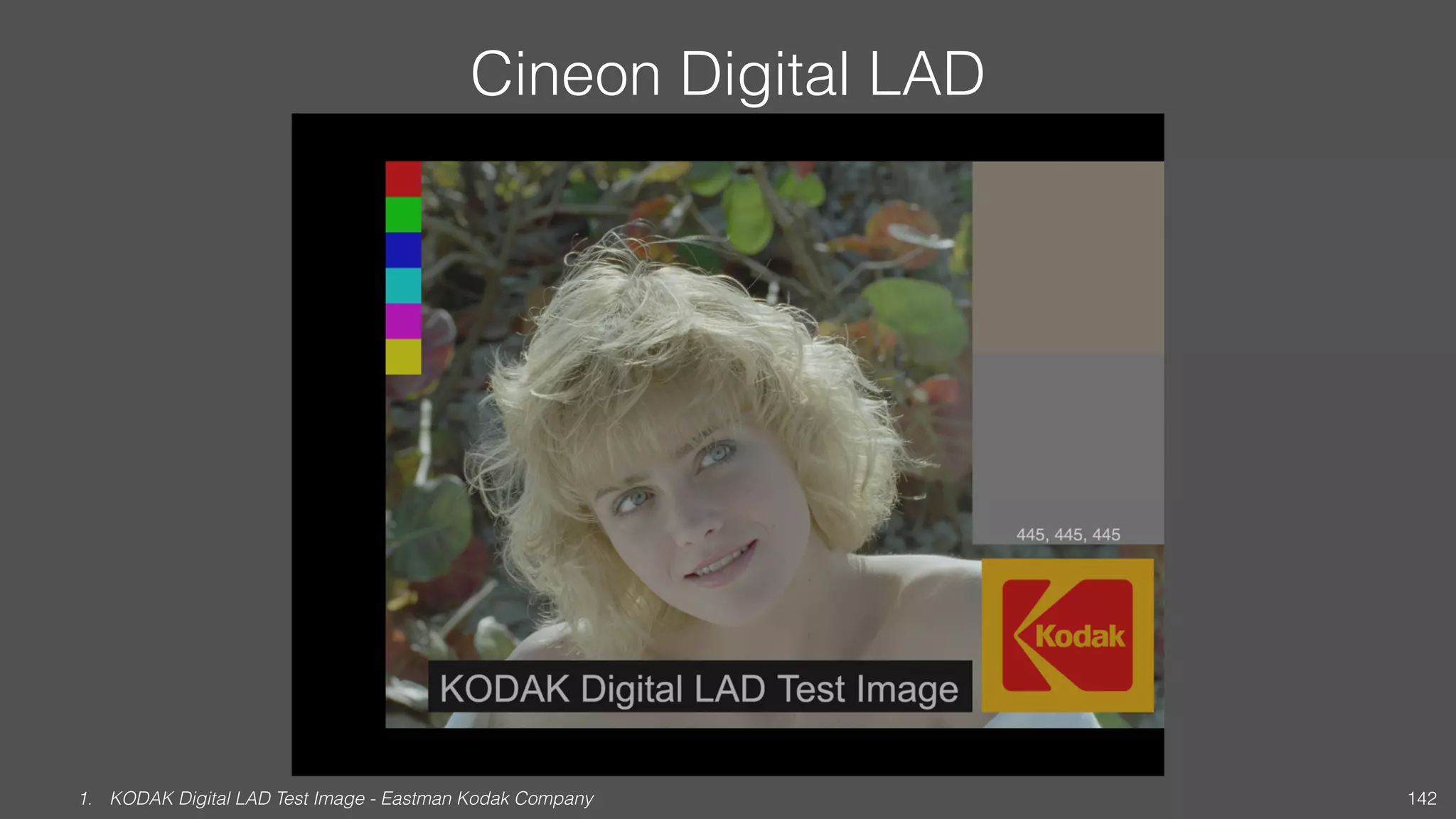 Cineon Digital LAD
1. KODAK Digital LAD Test Image - Eastman Kodak Company 142
 