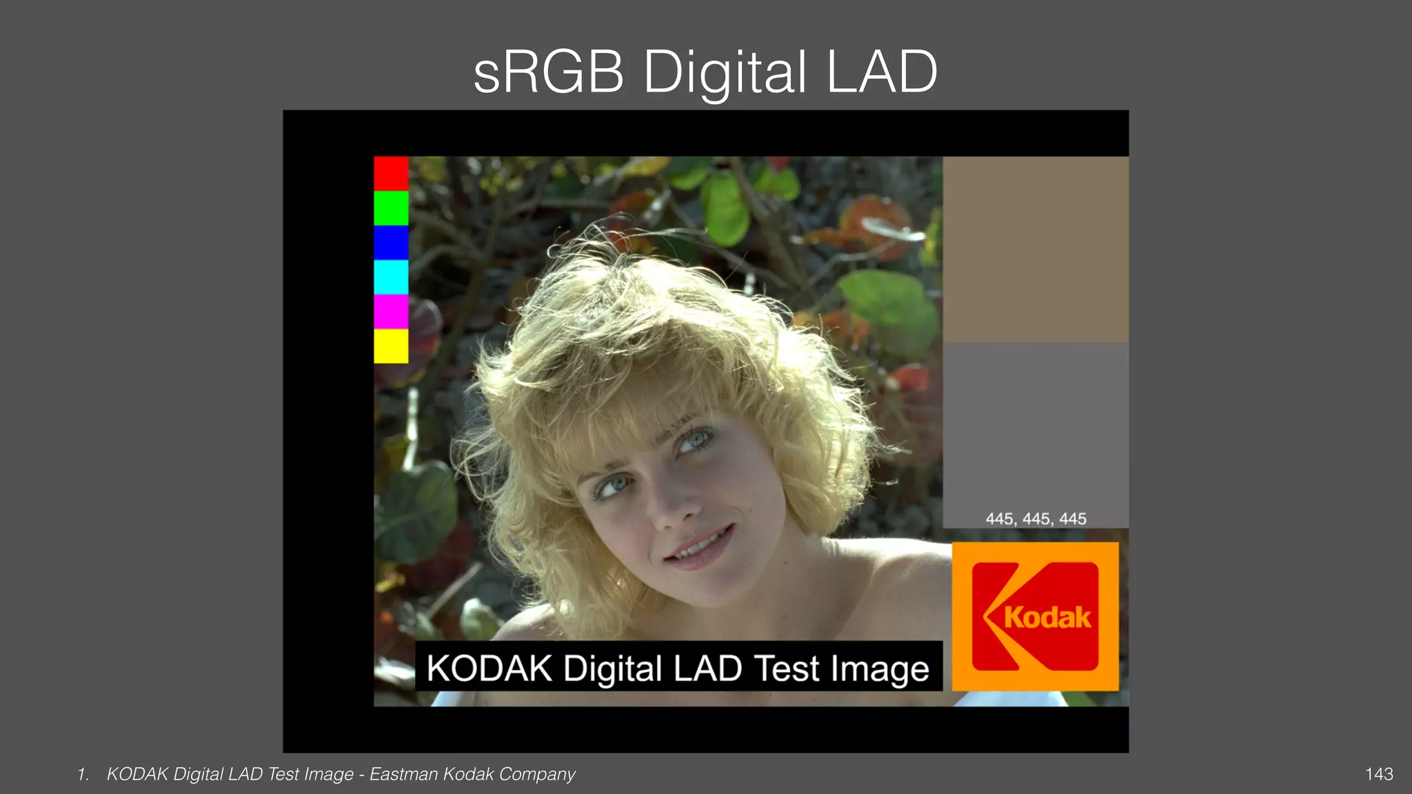 sRGB Digital LAD
1. KODAK Digital LAD Test Image - Eastman Kodak Company 143
 