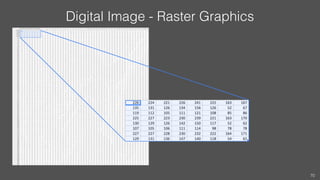 Digital Image - Raster Graphics
70
 