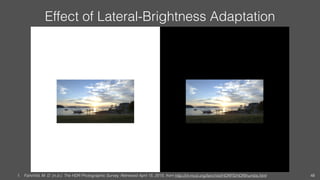 Effect of Lateral-Brightness Adaptation
1. Fairchild, M. D. (n.d.). The HDR Photographic Survey. Retrieved April 15, 2015, from http://rit-mcsl.org/fairchild/HDRPS/HDRthumbs.html 48
 