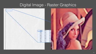 Digital Image - Raster Graphics
71
 