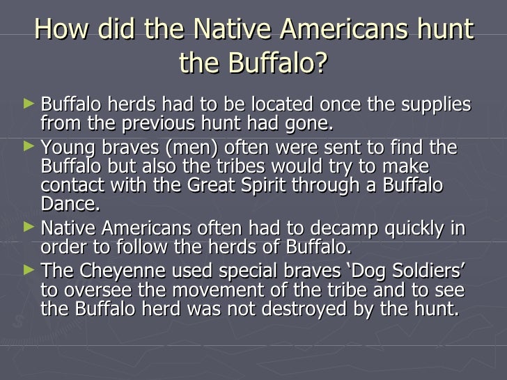 The Importance Of The Buffalo