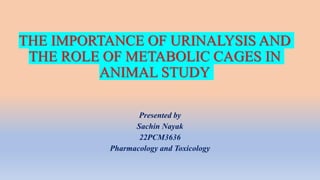 THE IMPORTANCE OF URINALYSIS AND
THE ROLE OF METABOLIC CAGES IN
ANIMAL STUDY
Presented by
Sachin Nayak
22PCM3636
Pharmacology and Toxicology
 