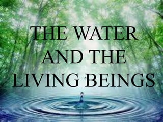 THE WATER
AND THE
LIVING BEINGS
 