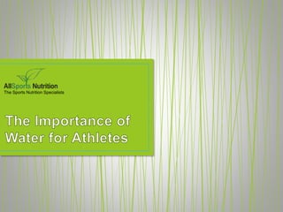 The Sports Nutrition Specialists
 