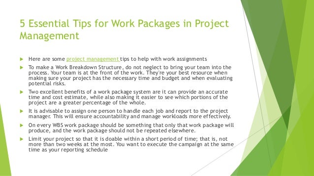 The Importance of Work Packages in Project Scope.pdf